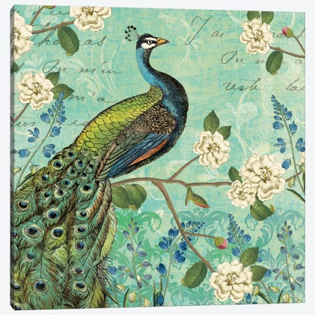 Peacock Arbor V Canvas Print #WAC5266} by Sue Schlabach Art Print