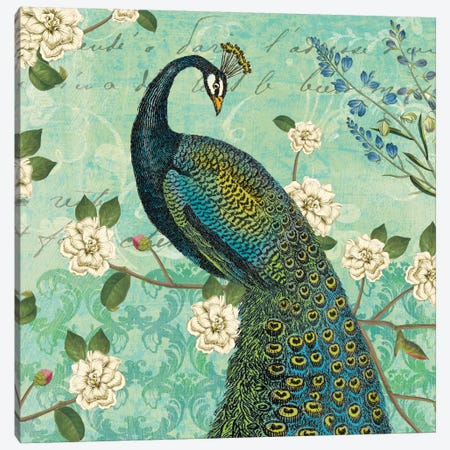 Peacock Arbor VI Canvas Print #WAC5267} by Sue Schlabach Canvas Print