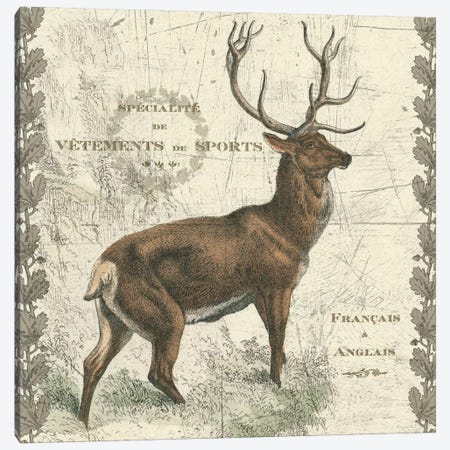 Regal Elk Canvas Print #WAC5270} by Sue Schlabach Art Print