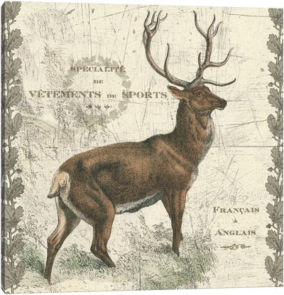 Regal Elk Canvas Art Print - Evergreen & Burlap
