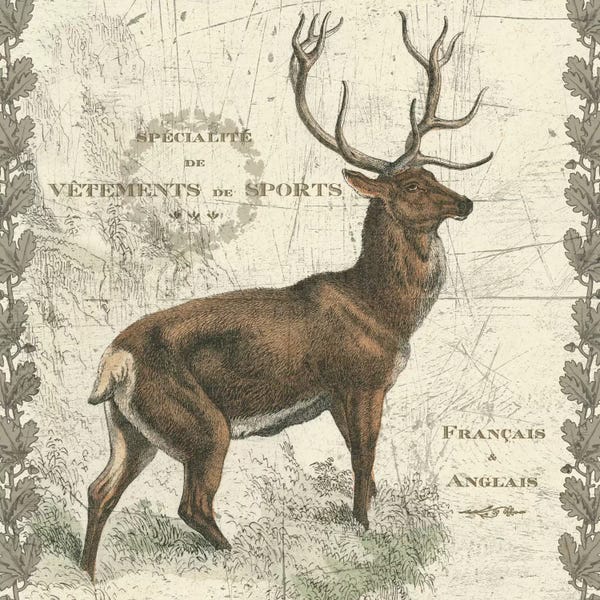 Sue Schlabach: Regal Elk by Sue Schlabach