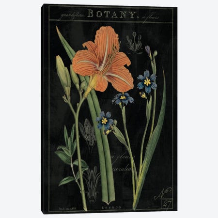 Vintage Flora II On Black Canvas Print #WAC5274} by Sue Schlabach Canvas Artwork