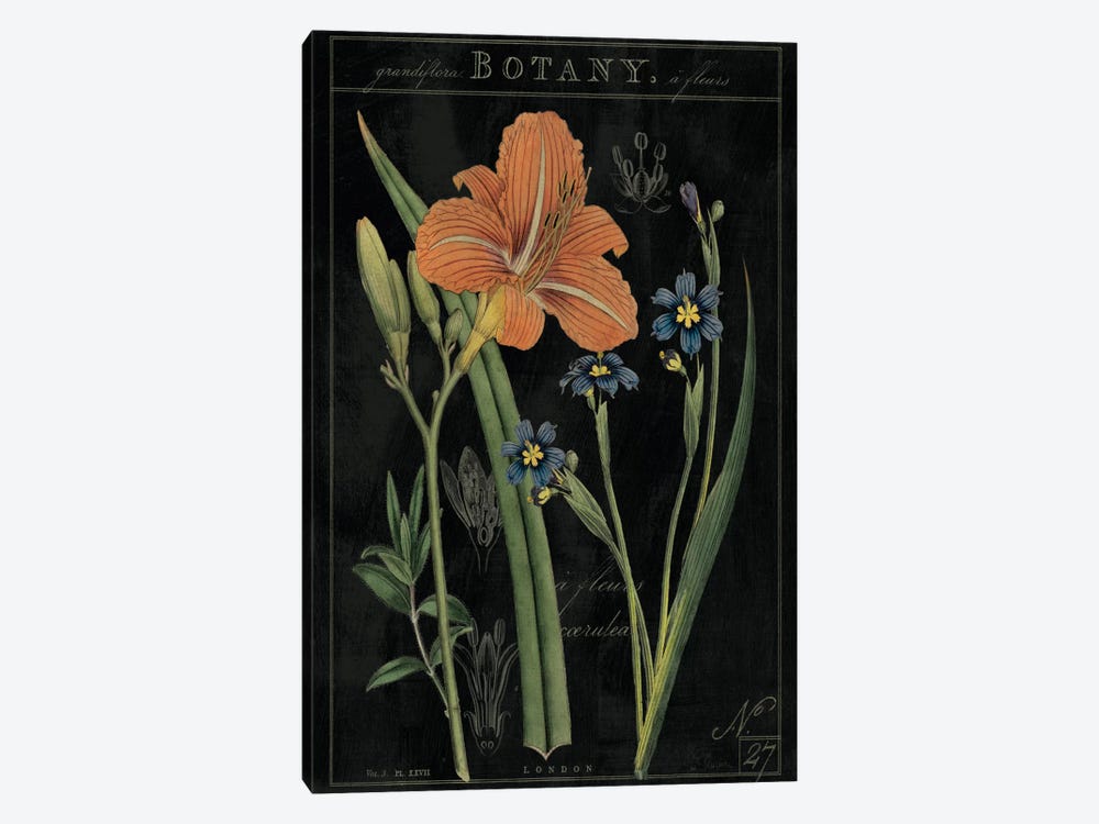 Vintage Flora II On Black 1-piece Canvas Artwork