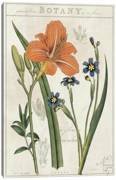 Vintage Flora II On Ivory Canvas Art Print - Lily Art