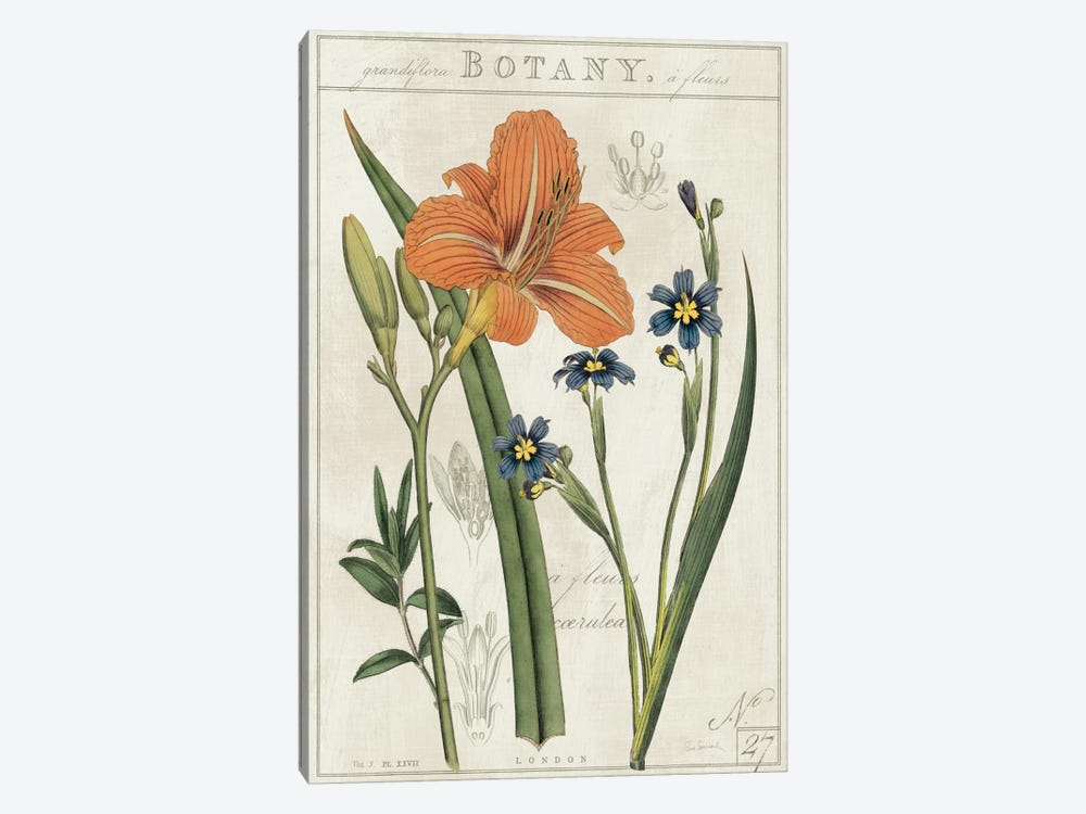 Vintage Flora II On Ivory by Sue Schlabach 1-piece Art Print