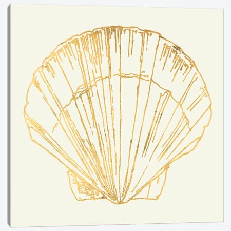Coastal Breeze Shell Sketches V Canvas Print #WAC5283} by Anne Tavoletti Canvas Art