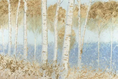 Summer Birches by James Wiens framed wall art