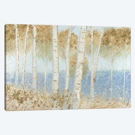 Summer Birches Canvas Print #WAC5312} by James Wiens Canvas Art