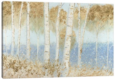 Summer Birches Canvas Art Print - James Wiens