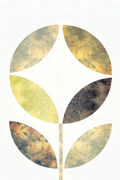 Michael Mullan: Golden Flower II by Michael Mullan