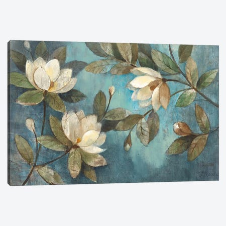Floating Magnolias Canvas Print #WAC53} by Albena Hristova Canvas Art