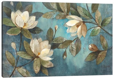 Floating Magnolias Canvas Art Print - Magnolias