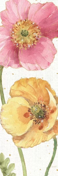 Poppies: Spring Softies IV by Lisa Audit