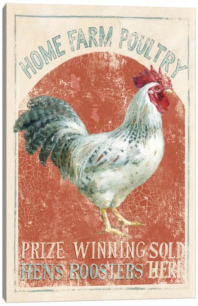 Farm Nostalgia IV Canvas Art Print - Chicken & Rooster Art
