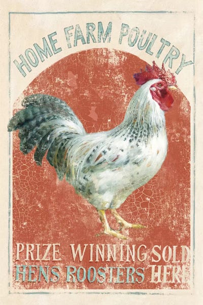 Chickens & Roosters: Farm Nostalgia IV by Danhui Nai