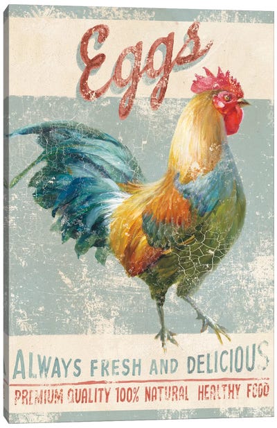 Farm Nostalgia VI Canvas Art Print - Chicken & Rooster Art