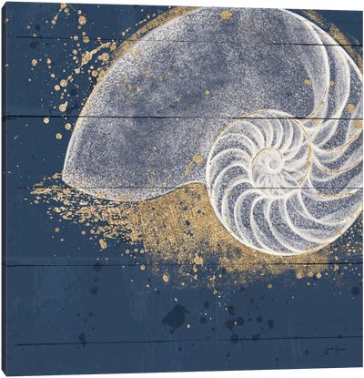 Calm Seas IX Canvas Art Print - Sea Shell Art