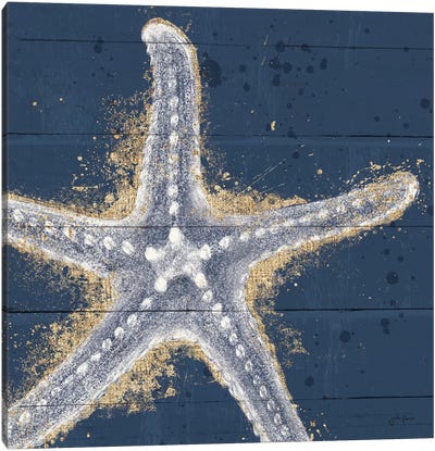Calm Seas XI Canvas Art Print - Starfish Art