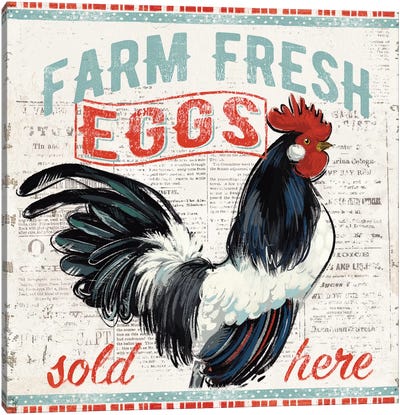Morning News III Canvas Art Print - Chicken & Rooster Art