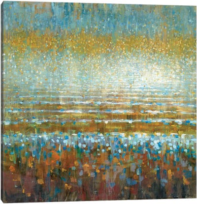 Rains Over The Lake Canvas Art Print - Danhui Nai