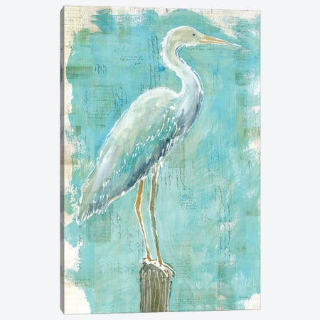 Coastal Egret I Canvas Print #WAC5796} by Sue Schlabach Canvas Print