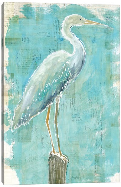 Coastal Egret I Canvas Art Print - Coastal Living Room Art