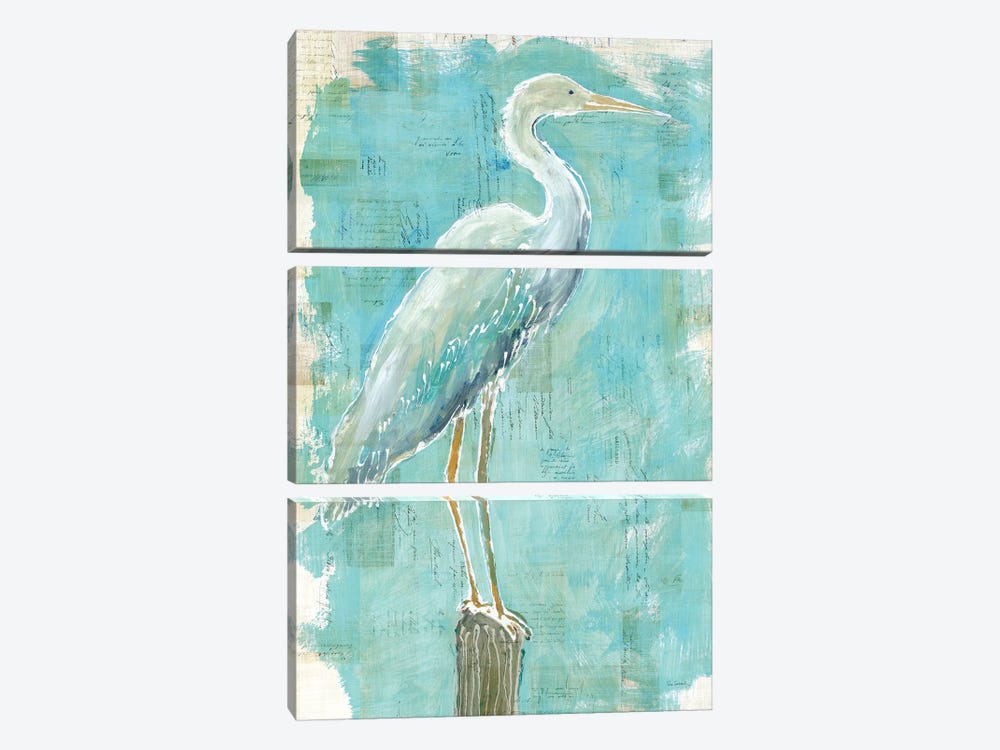 Coastal Egret I by Sue Schlabach 3-piece Canvas Wall Art