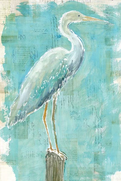 Egrets: Coastal Egret I by Sue Schlabach