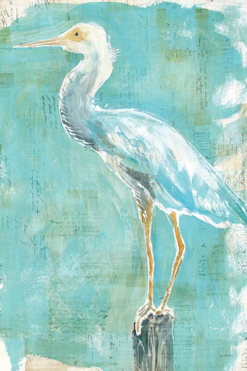 Coastal Egret II