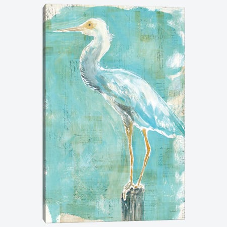 Coastal Egret II Canvas Print #WAC5797} by Sue Schlabach Art Print