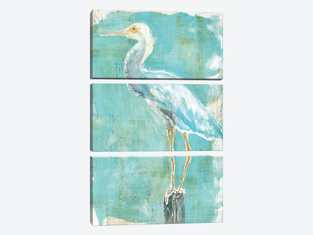 Coastal Egret II by Sue Schlabach 3-piece Canvas Print
