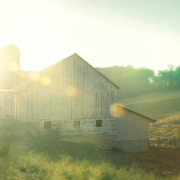 Sue Schlabach: Farm Morning II by Sue Schlabach