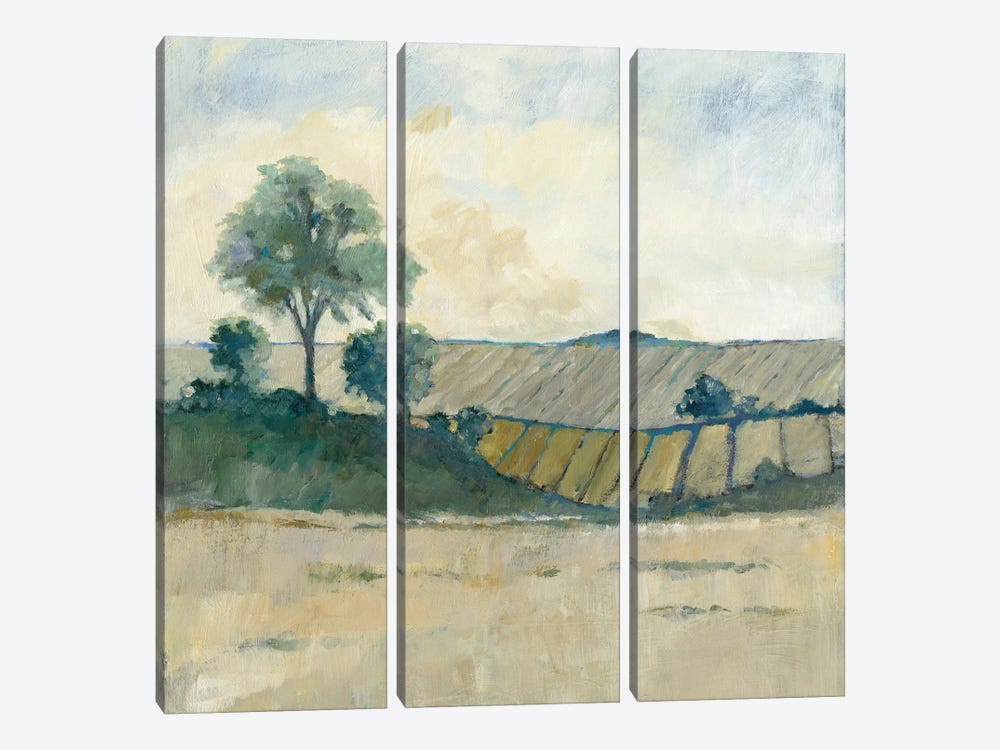 Fields Before The Storm 3-piece Canvas Wall Art