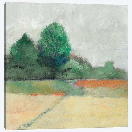Path Through The Field Canvas Print #WAC5814} by Avery Tillmon Canvas Artwork