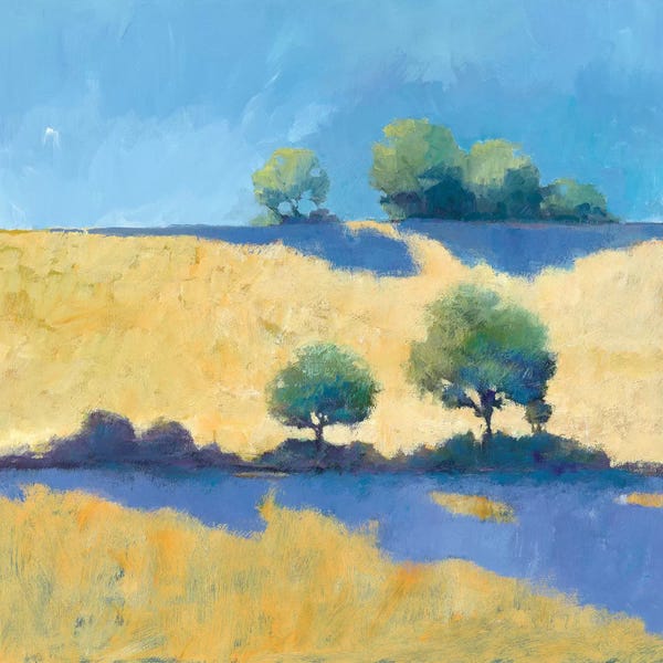 Countrysides: Shadows by Avery Tillmon