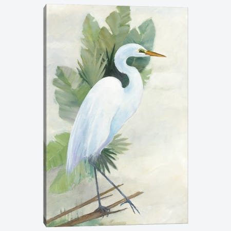 Standing Egret I Canvas Print #WAC5816} by Avery Tillmon Canvas Wall Art