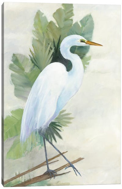 Standing Egret I Canvas Art Print - Heron Art