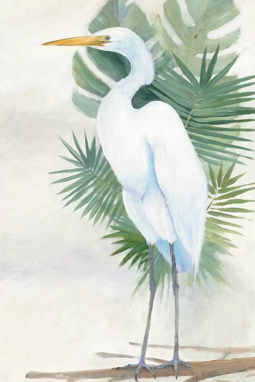 Standing Egret II by Avery Tillmon wall art