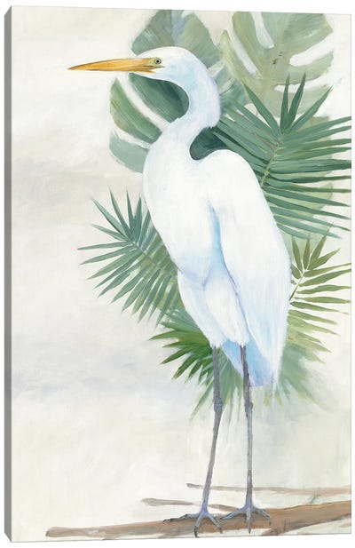 Standing Egret II Canvas Art Print - Egret Art