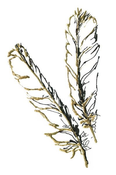 Gilded Red Tailed Hawk Feather Canvas Print By Chris Paschke Icanvas