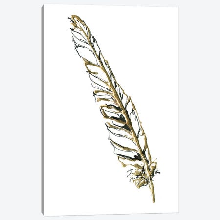 Gilded Swan Feather I Canvas Print #WAC5825} by Chris Paschke Art Print