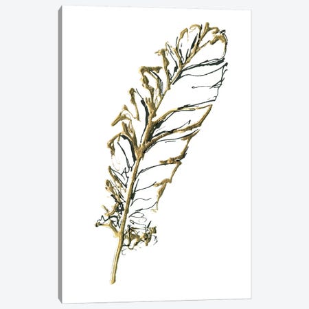 Gilded Turkey Feather I Canvas Print #WAC5827} by Chris Paschke Art Print