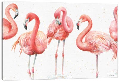 Gracefully Pink VIII Canvas Art Print - Flamingo Art