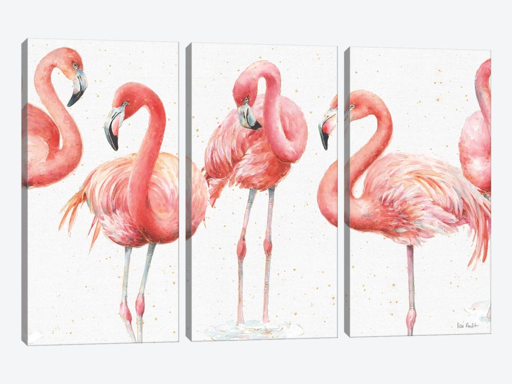 Gracefully Pink VIII by Lisa Audit 3-piece Canvas Art