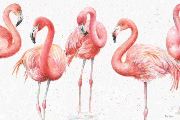 Flamingos: Gracefully Pink VIII by Lisa Audit