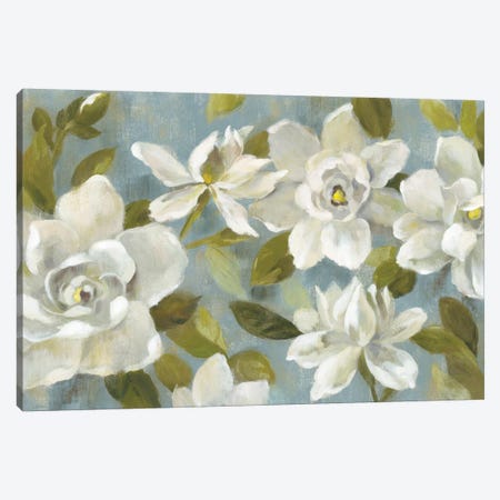 Gardenias On Slate Blue Canvas Print #WAC5885} by Silvia Vassileva Art Print
