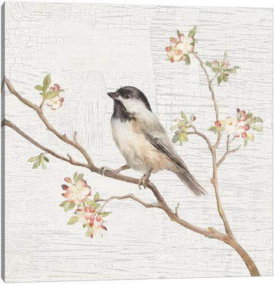 Vintage Black Capped Chickadee Canvas Art Print - Sparrows