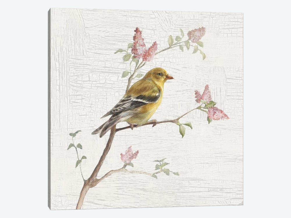 Vintage Female Goldfinch by Danhui Nai 1-piece Canvas Wall Art