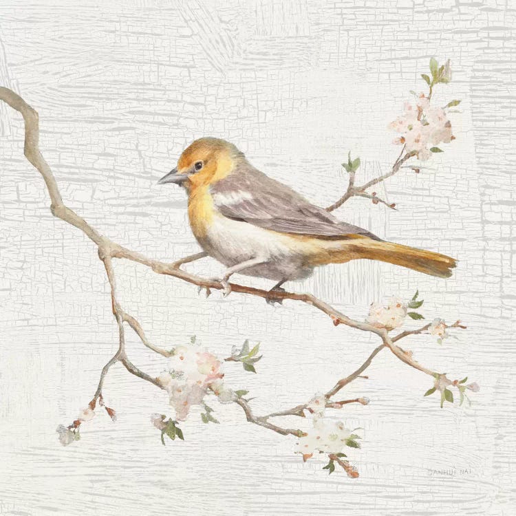 Vintage Northern Oriole by Danhui Nai wall art
