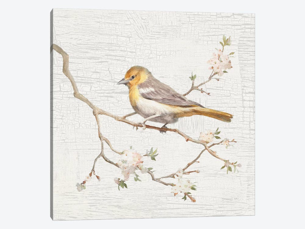 Vintage Northern Oriole by Danhui Nai 1-piece Canvas Art